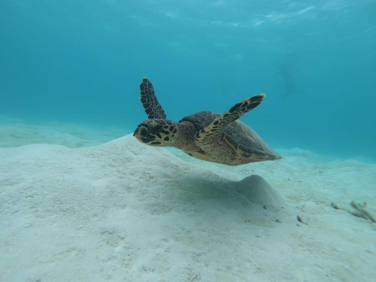 Hotel Water Seven Maafushi Eksteriør bilde
